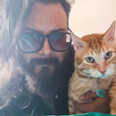 eduardo-cava-nunez-petgo-gatopolis